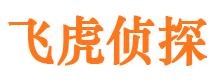 江山寻人公司